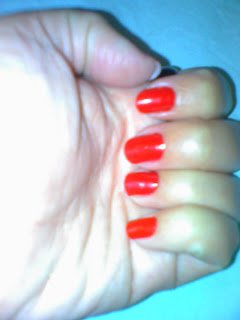 Tapete Vermelho - imagem 3