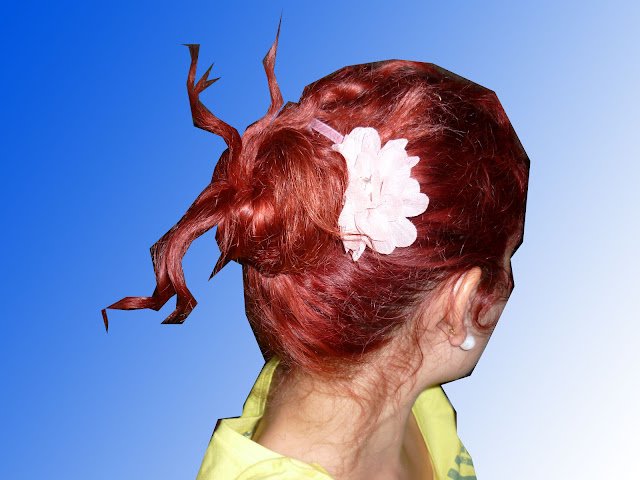 Flores de Cabelo - imagem 2
