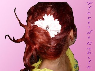 Flores de Cabelo - imagem 3