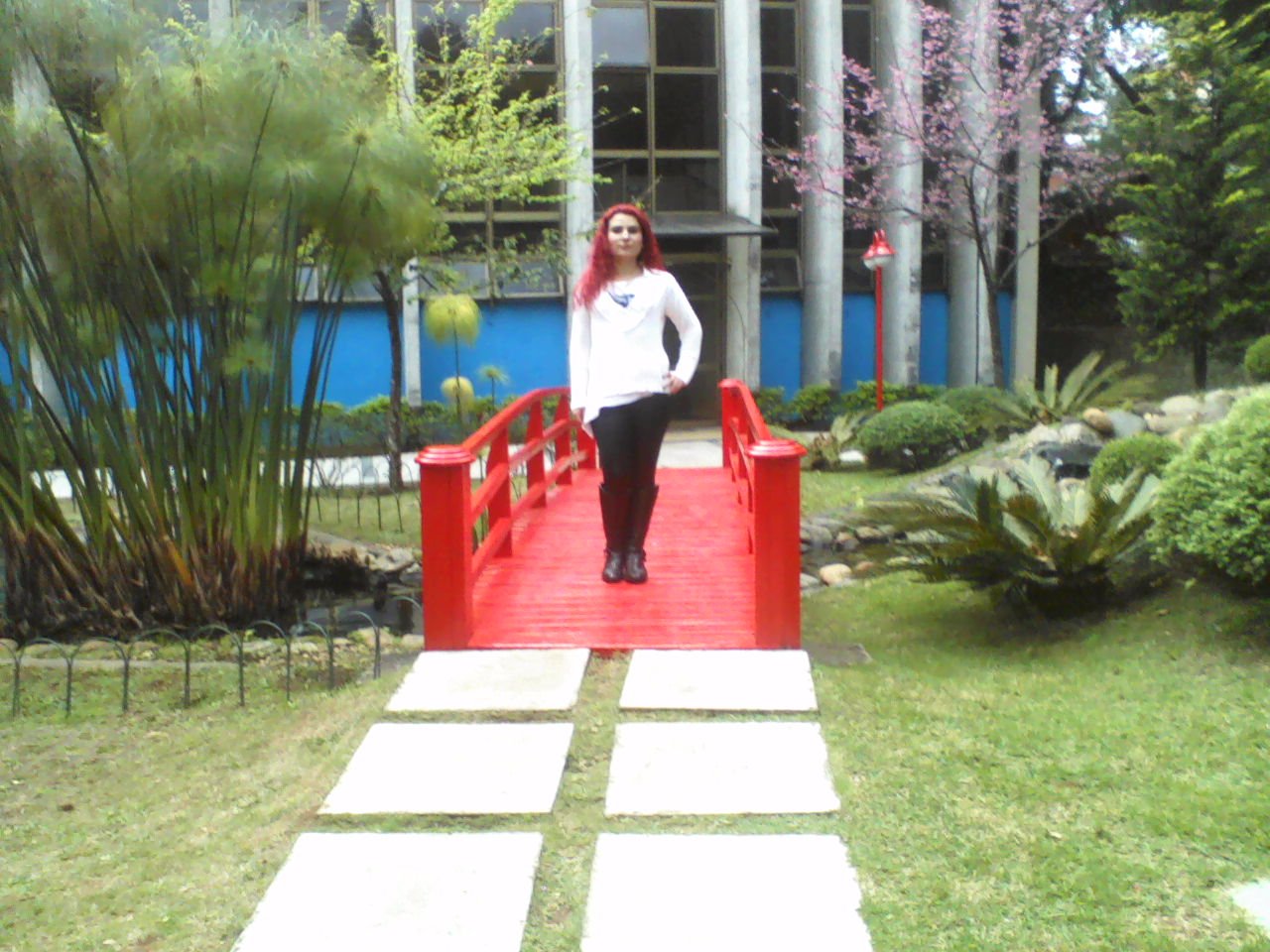 Look do Dia