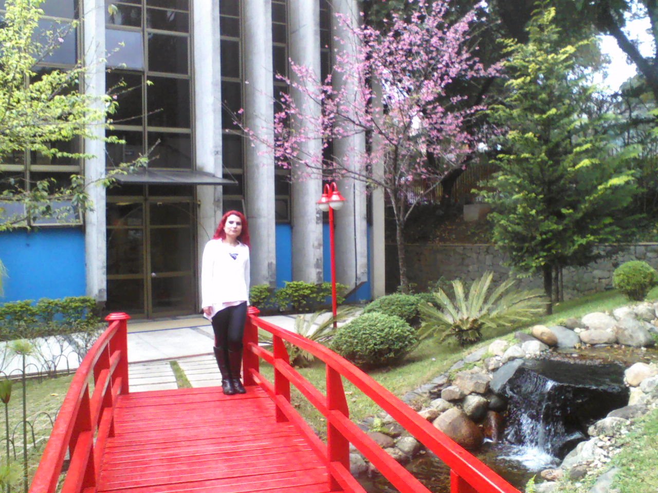 Look do Dia - imagem 2