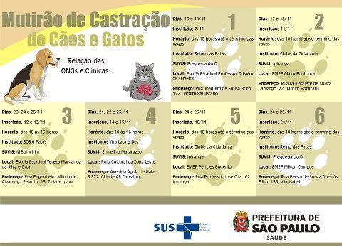 Campanha de Castração de Cães e Gatos - GRATUITA- SÃO PAULO