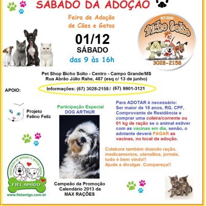 Sabado da Adoção: Campo Grande/MS