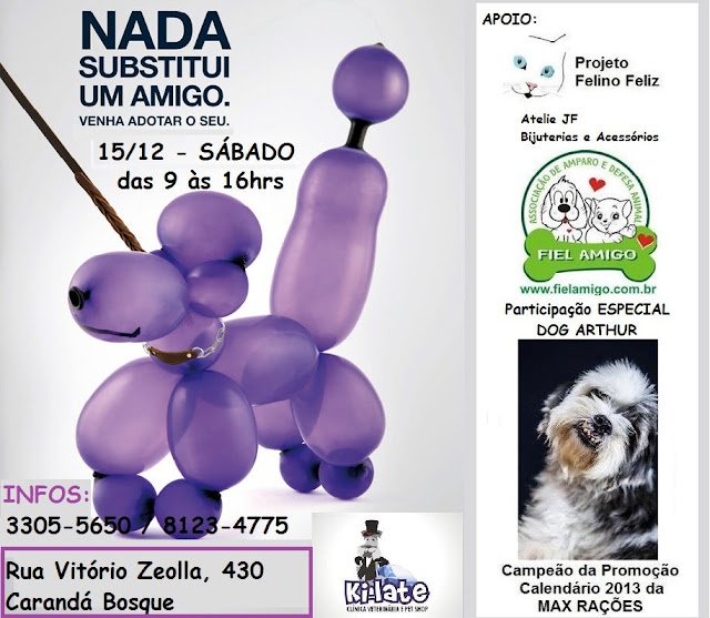 Sabado Da Adoção - São Paulo / Campo Grande - imagem 2