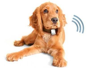GPS Para Localização de animais de Estimação