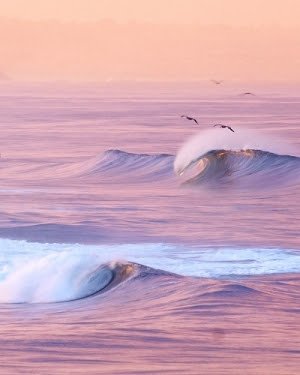 Dia da Terra - imagem 2