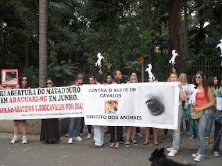 ABATE DE CAVALOS, DIGA NÃO!!! - imagem 2