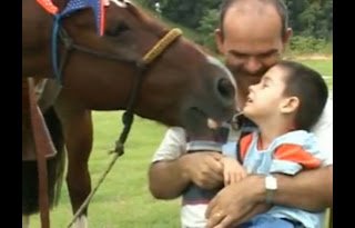 ABATE DE CAVALOS, DIGA NÃO!!! - imagem 5