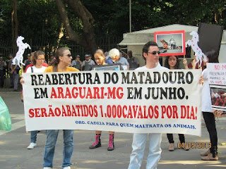 ABATE DE CAVALOS, DIGA NÃO!!! - imagem 9