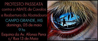 ABATE DE CAVALOS, DIGA NÃO!!! - imagem 11