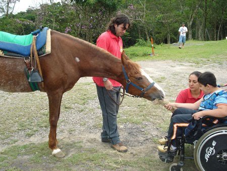 ABATE DE CAVALOS, DIGA NÃO!!! - imagem 12