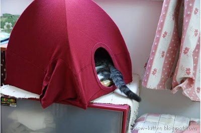 #Iglu para #Gatos #Artesanal - imagem 4