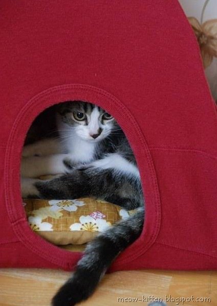 #Iglu para #Gatos #Artesanal - imagem 6