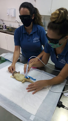 Aquário de São Paulo usa fototerapia em benefício dos animais - imagem 2