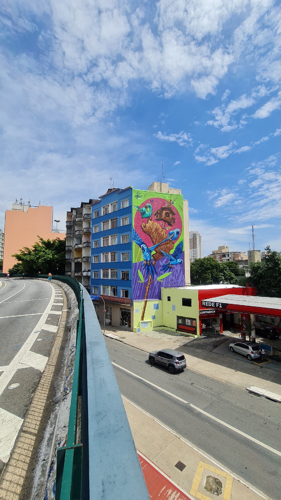 Ararinhas-azuis ganham pintura multicolorida de 26 metros de altura no centro de São Paulo
