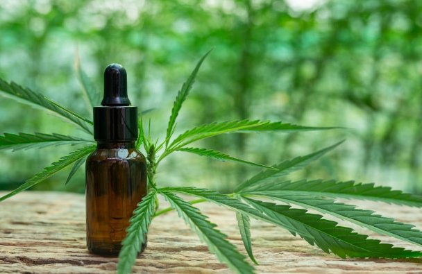 Fibromialgia e a cannabis medicinal