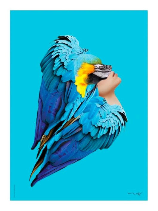 Seres humanos, animais e natureza se conectam em exposição fotográfica do Santana Parque Shopping