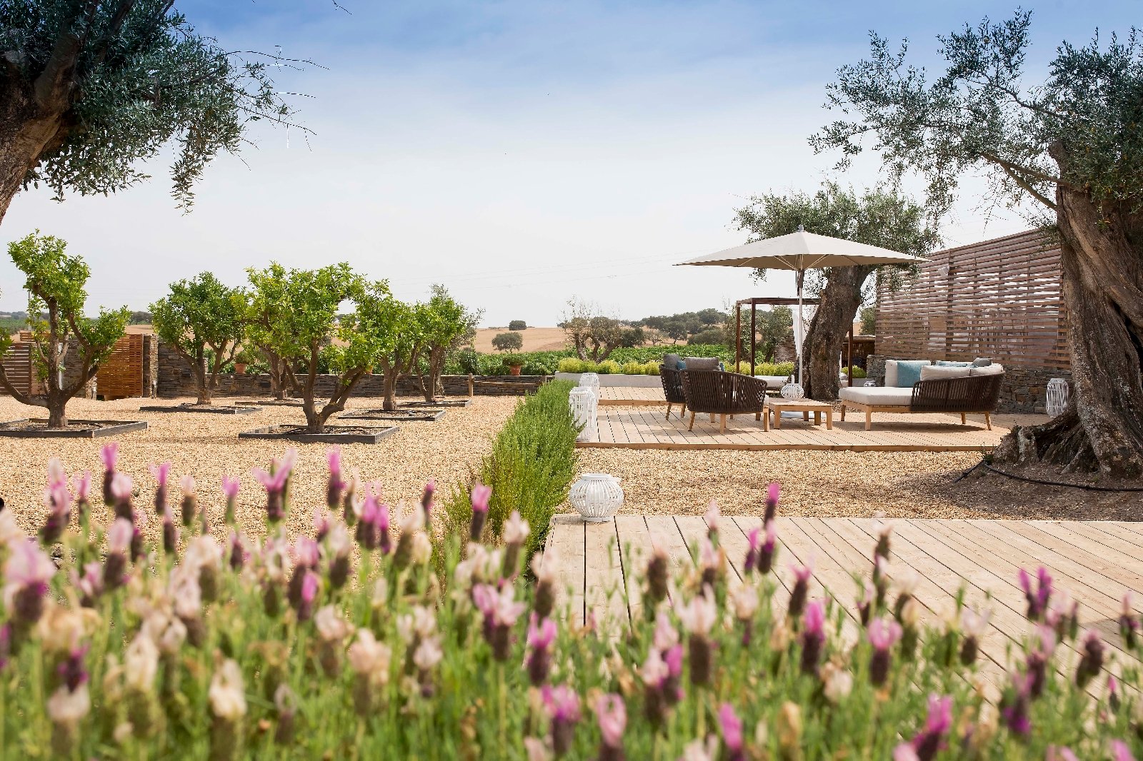 O luxo campestre do Alentejo