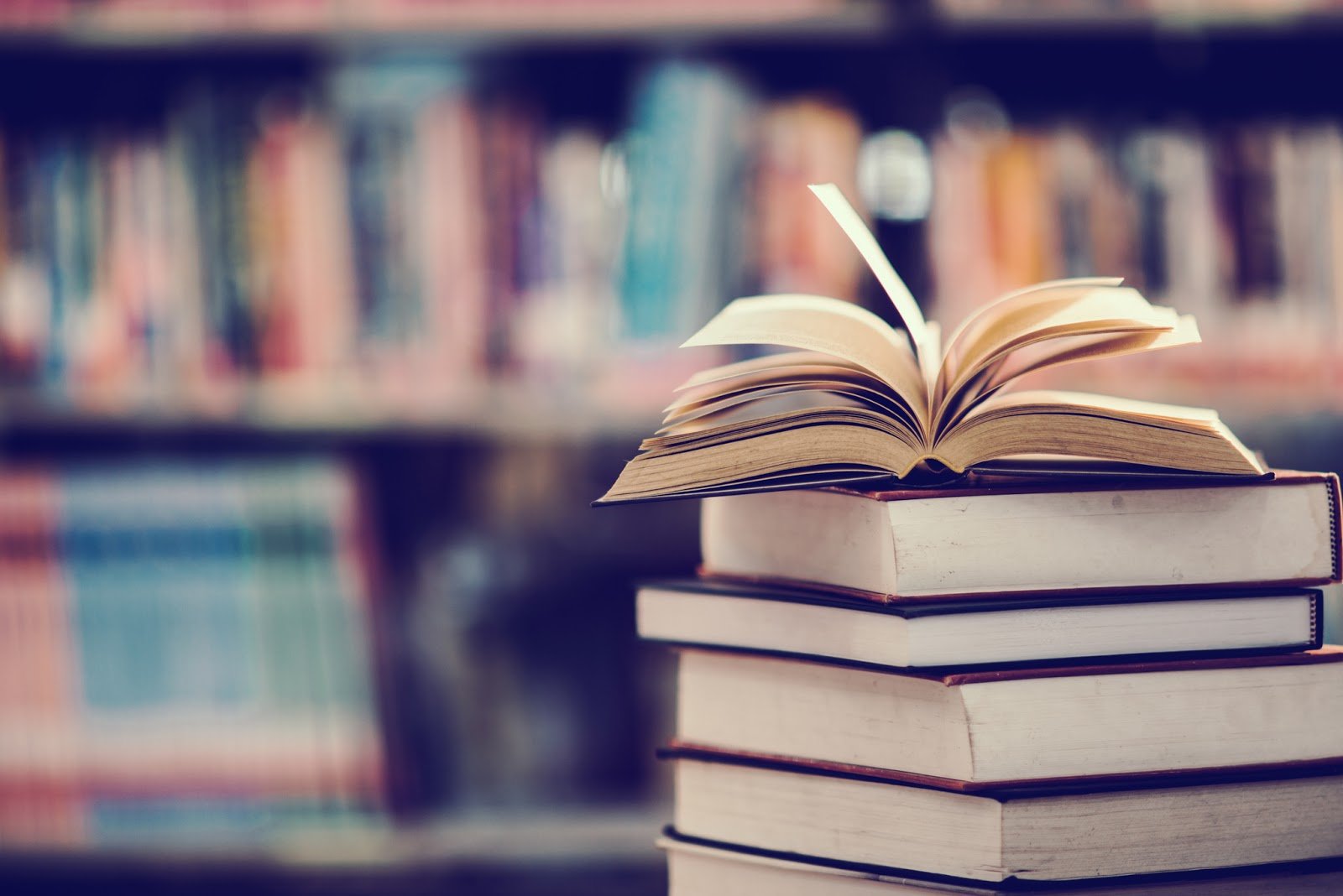 Dia Mundial do Livro: 14 empresários indicam os títulos que os inspiram