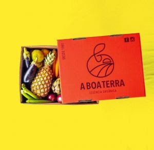 Receita de Picolé de Abacate Orgânico - imagem 2