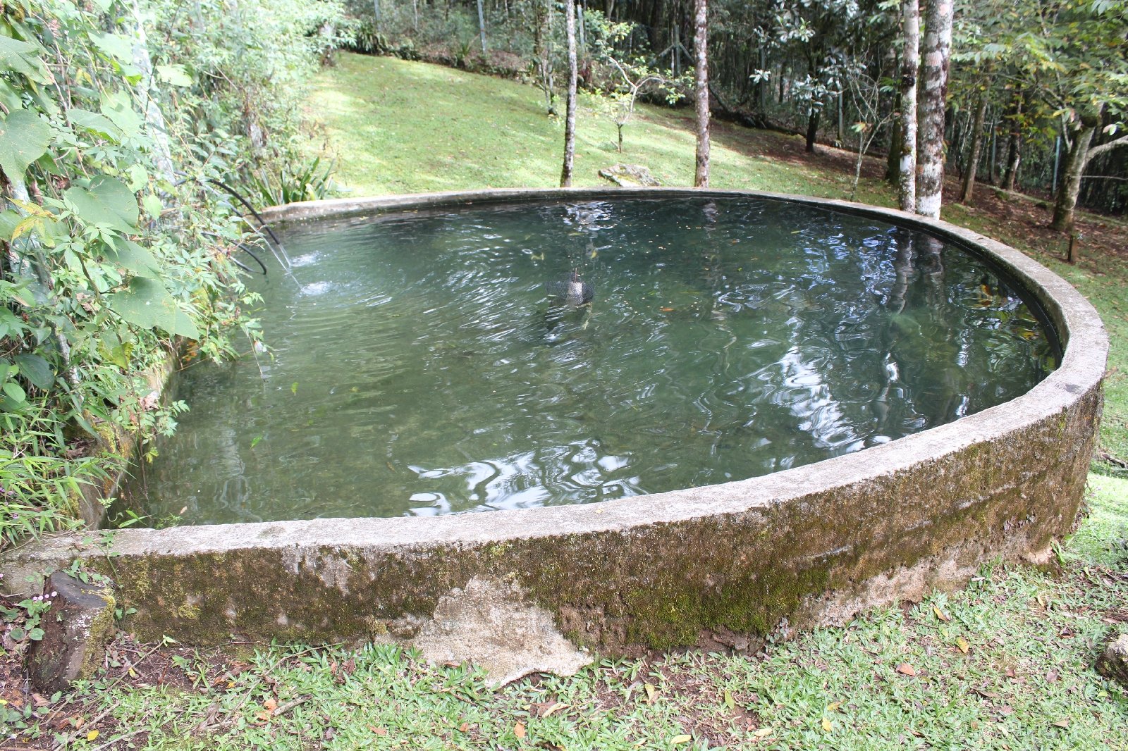 Villa Coração Guest House tem trutas em lago natural e anuncia tarifas especiais de casal - imagem 5