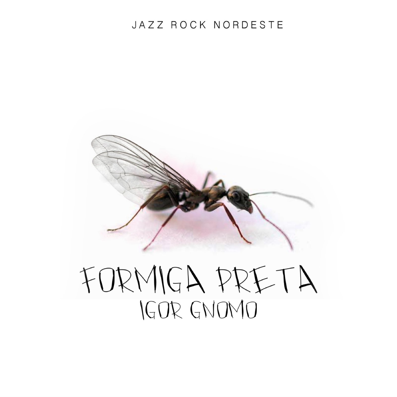 Igor Gnomo lança álbum "Formiga Preta" com influência de jazz, rock e nordeste