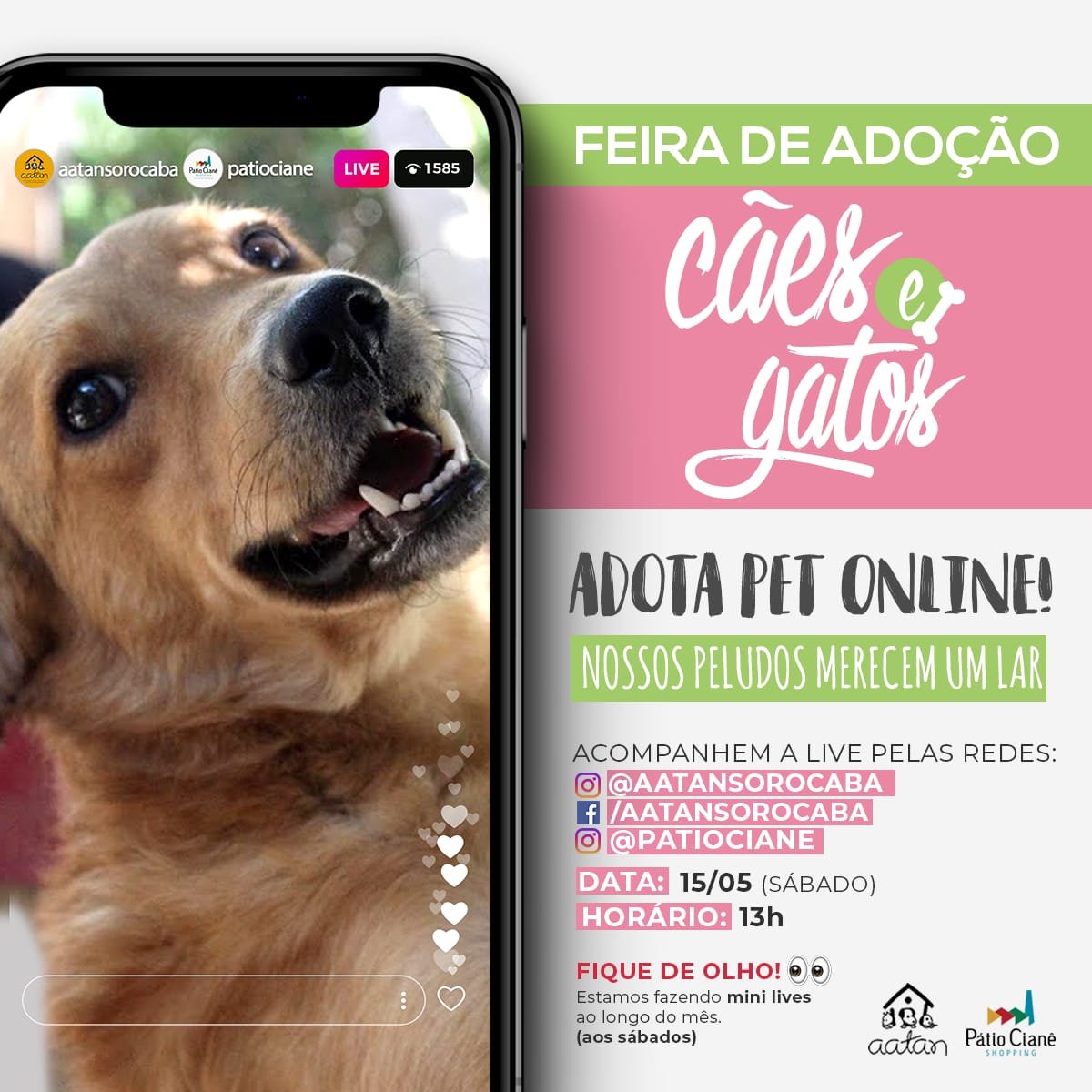 PÁTIO CIANÊ SHOPPING REALIZA MAIS UMA EDIÇÃO DA CAMPANHA ADOTA PET ON-LINE