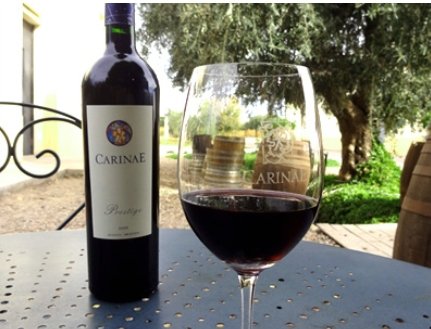 Vinhos da bodega argentina CarinaE são excelentes pedidas para o Dia das Mães