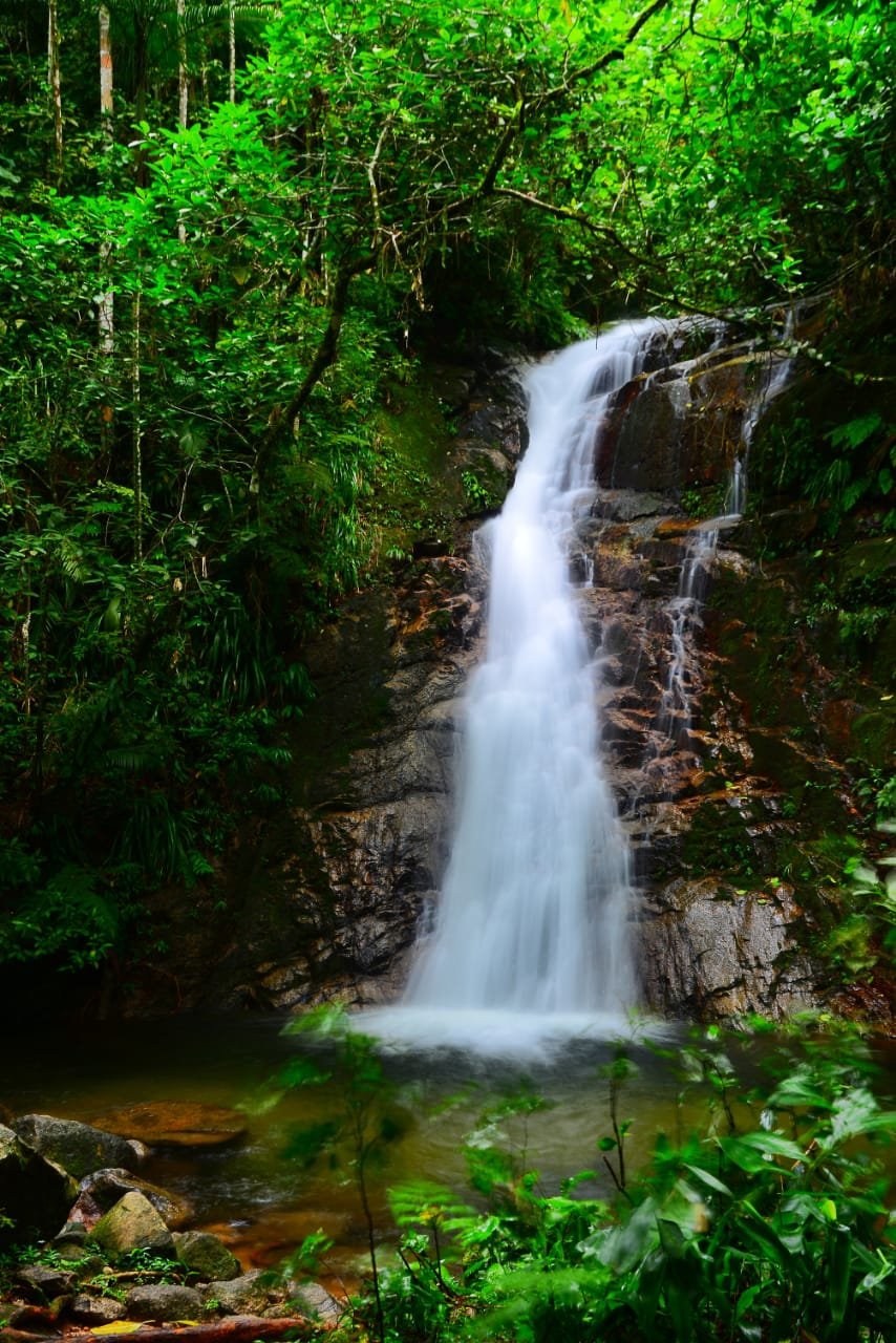 10 atrações para curtir o inverno no Litoral Norte de São Paulo - imagem 2