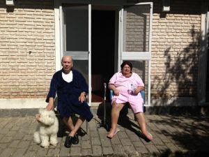 Zeeba veio a "Passeio" - imagem 2