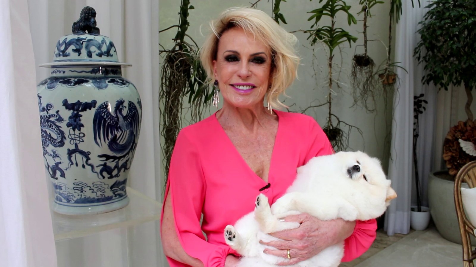 Mostra Filhos de Estimação reúne famosos com seus pets