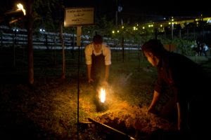 Quinta do Olivardo revive histórica noite do "Vinho dos Mortos"
