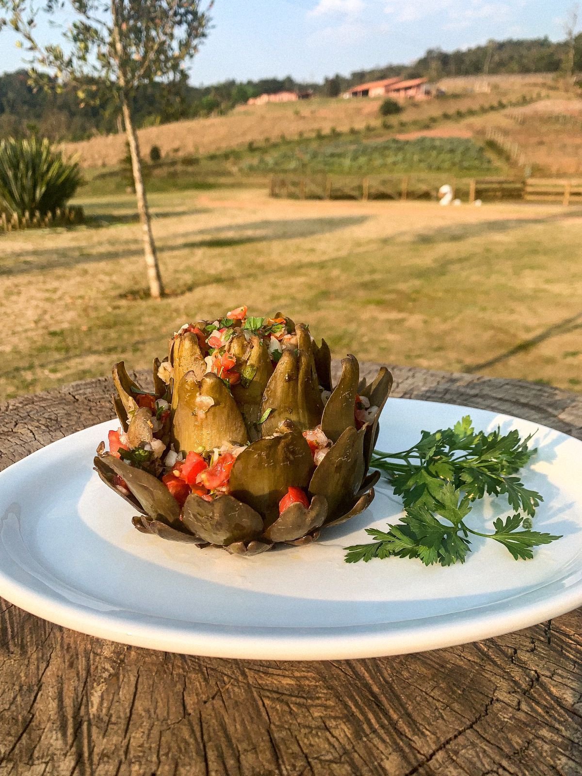 Temporada de Alcachofra está a todo vapor na Cantina Tia Lina - imagem 2