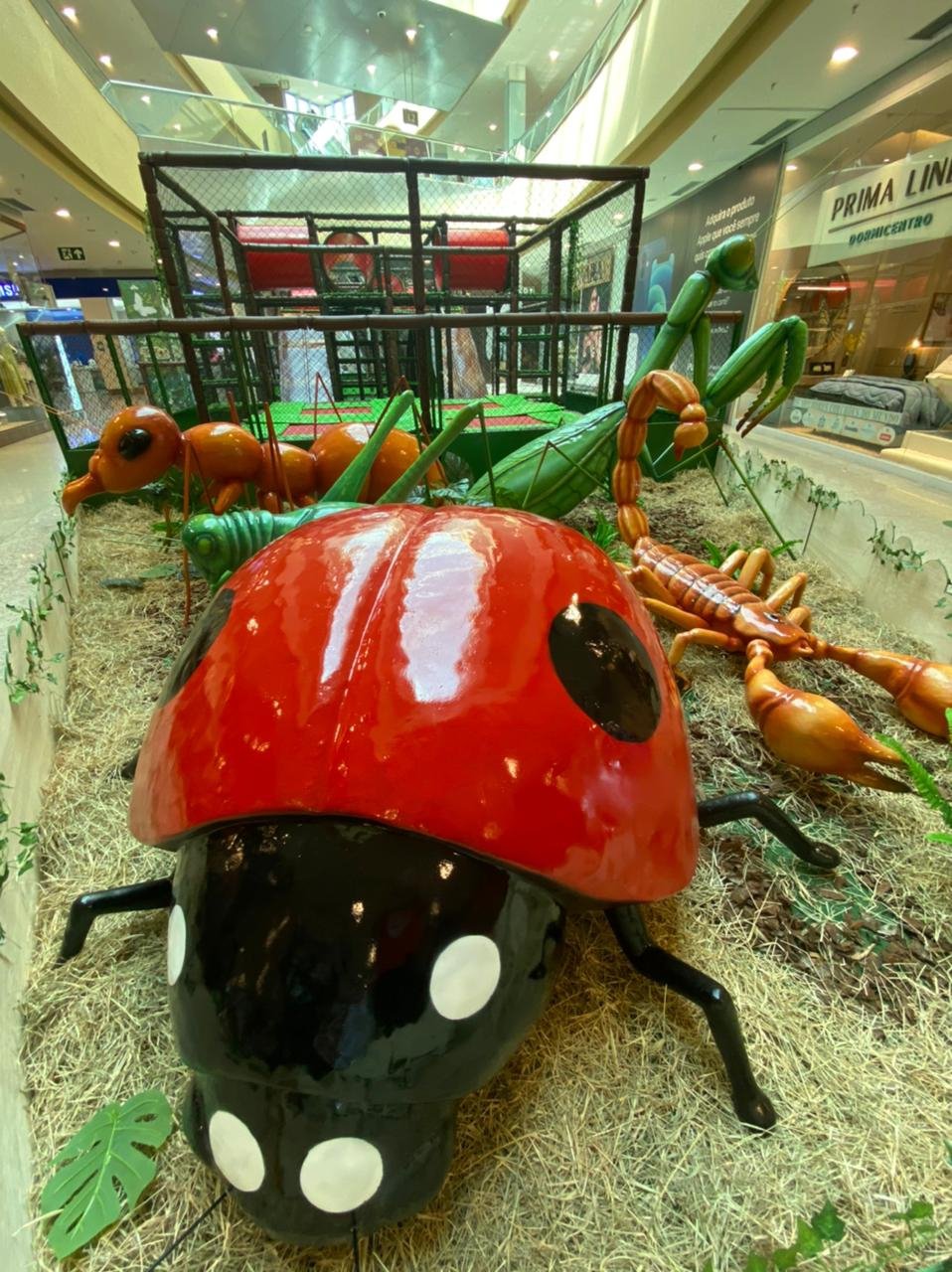 Fim de semana incrível no "Mundo dos Insetos Gigantes", no Shopping Contagem