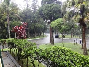 Parque Caminhos do Mar oferece nesse final de semana atividades especiais em continuação a comemoração do 07