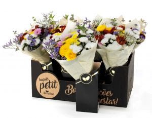 22º Veiling Market apresenta novidades em plantas e novos projetos para os produtores - imagem 16
