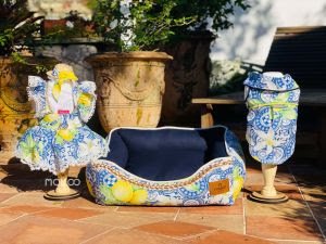 Malloo lança Coleção Verão Limão Siciliano para deixar seu pet mais charmoso