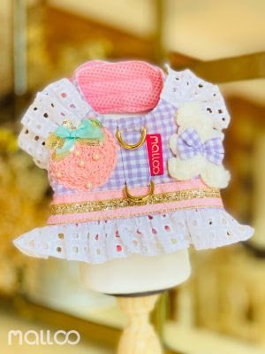 Malloo veste pets com rendas, laise, flores e bordados da sua Coleção de Verão