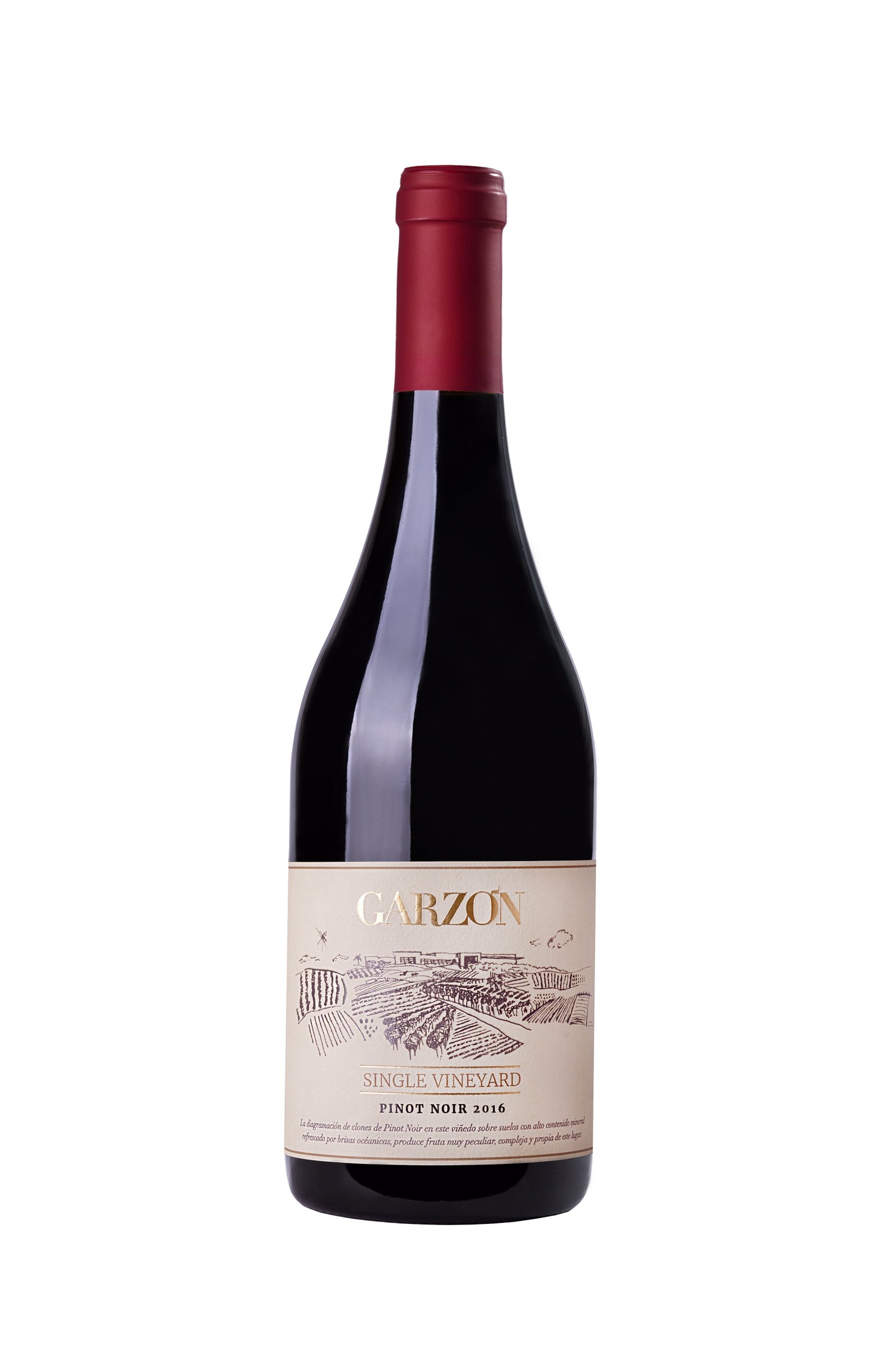 Bota Fora World Wine promove para Brasil inteiro sua promoção imperdivel com melhores produtos - imagem 4