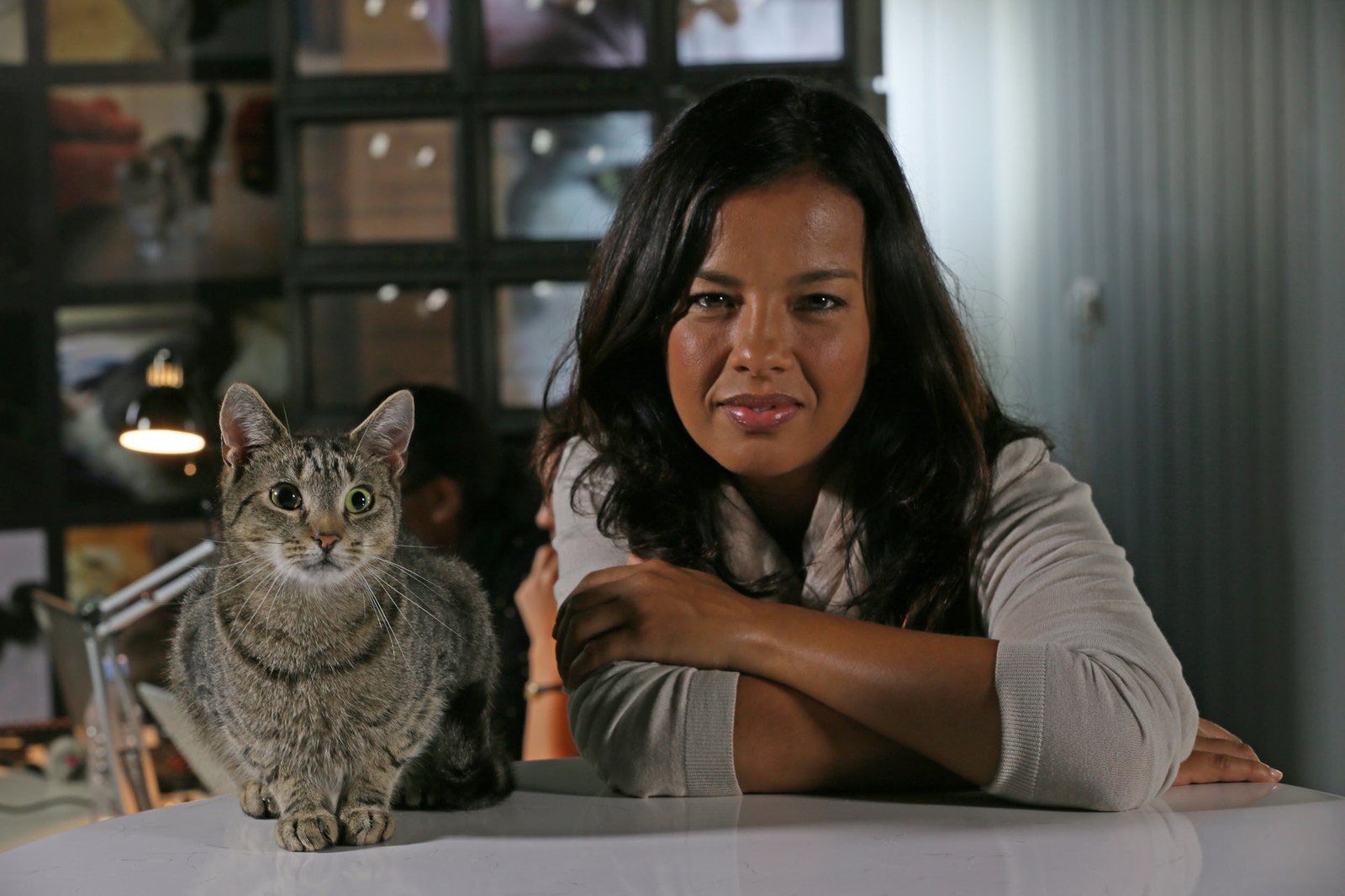 CNN Brasil apresenta ﻿“ Pets Extraordinários - Gatos: O Olhar dos Felinos” - imagem 2
