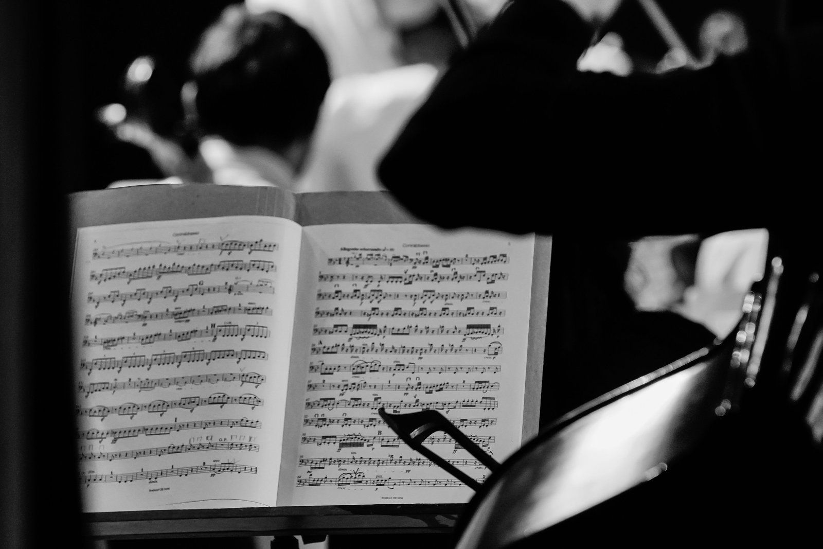 Festival Internacional FEMUSC terá transmissão virtual ao vivo