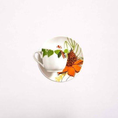 Inhotim Loja Design apresenta Coleção Trópicos - imagem 3