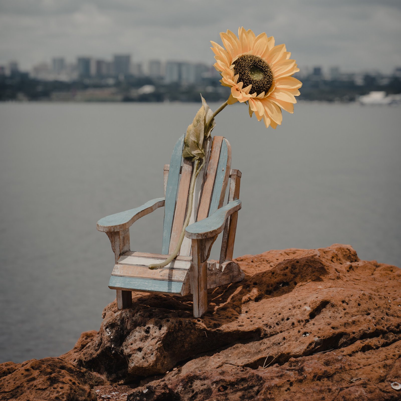 Sunflower Jam lança "Meu Bem", terceiro single do﻿álbum À Deriva - imagem 2