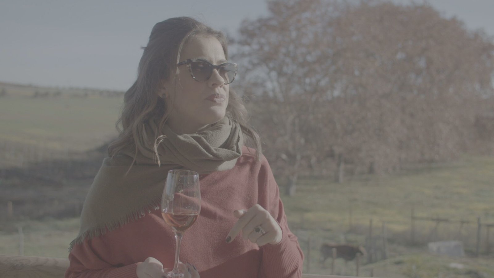 Alentejo encerra jornadasobre vinhos do “CNN Séries Originais” - imagem 3