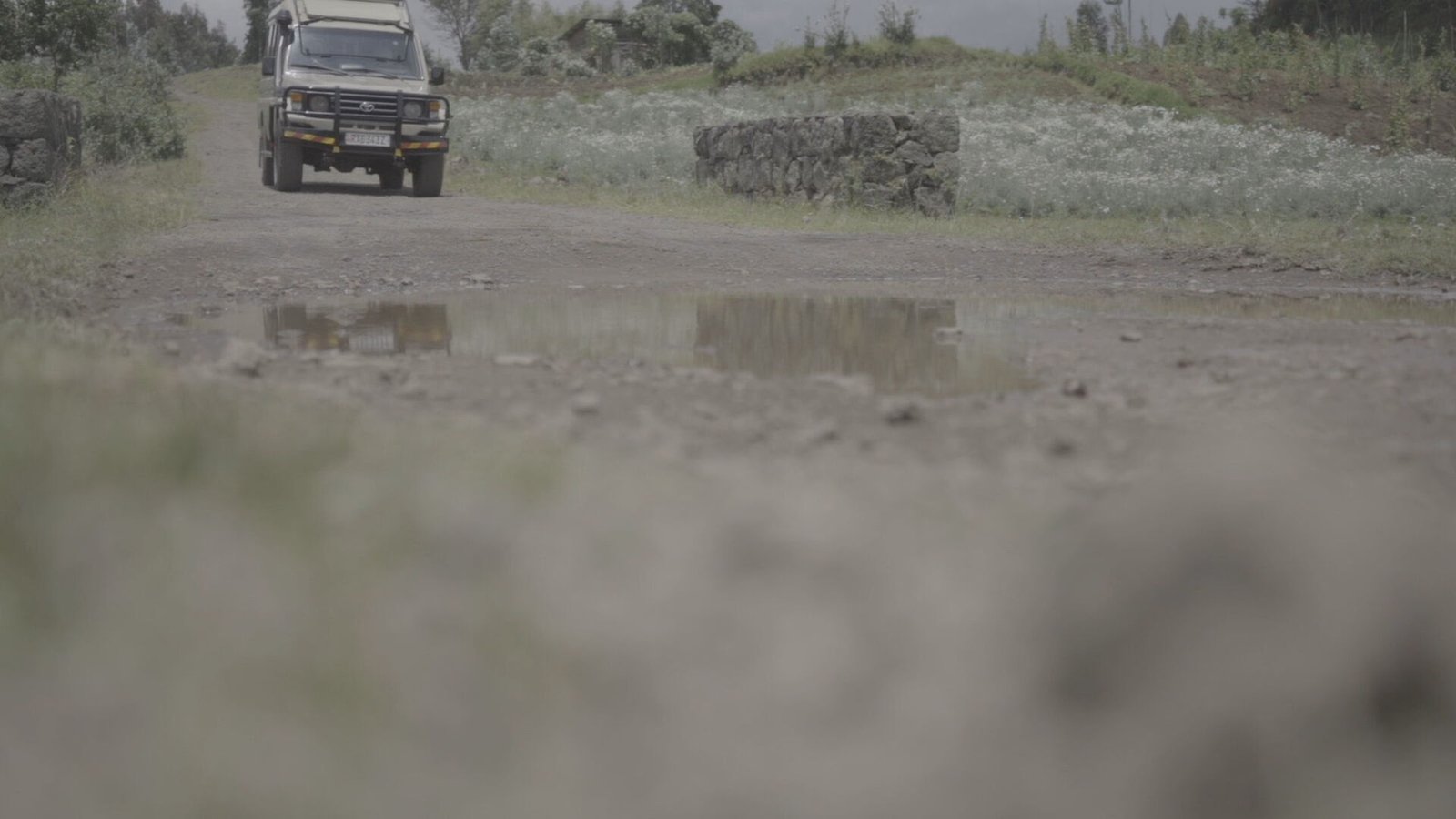 “CNN Viagem e Gastronomia”:﻿uma aventura na savana de Ruanda - imagem 2