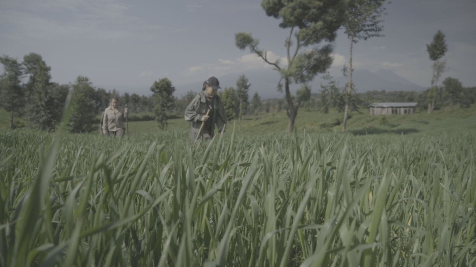 “CNN Viagem e Gastronomia”:﻿uma aventura na savana de Ruanda - imagem 3