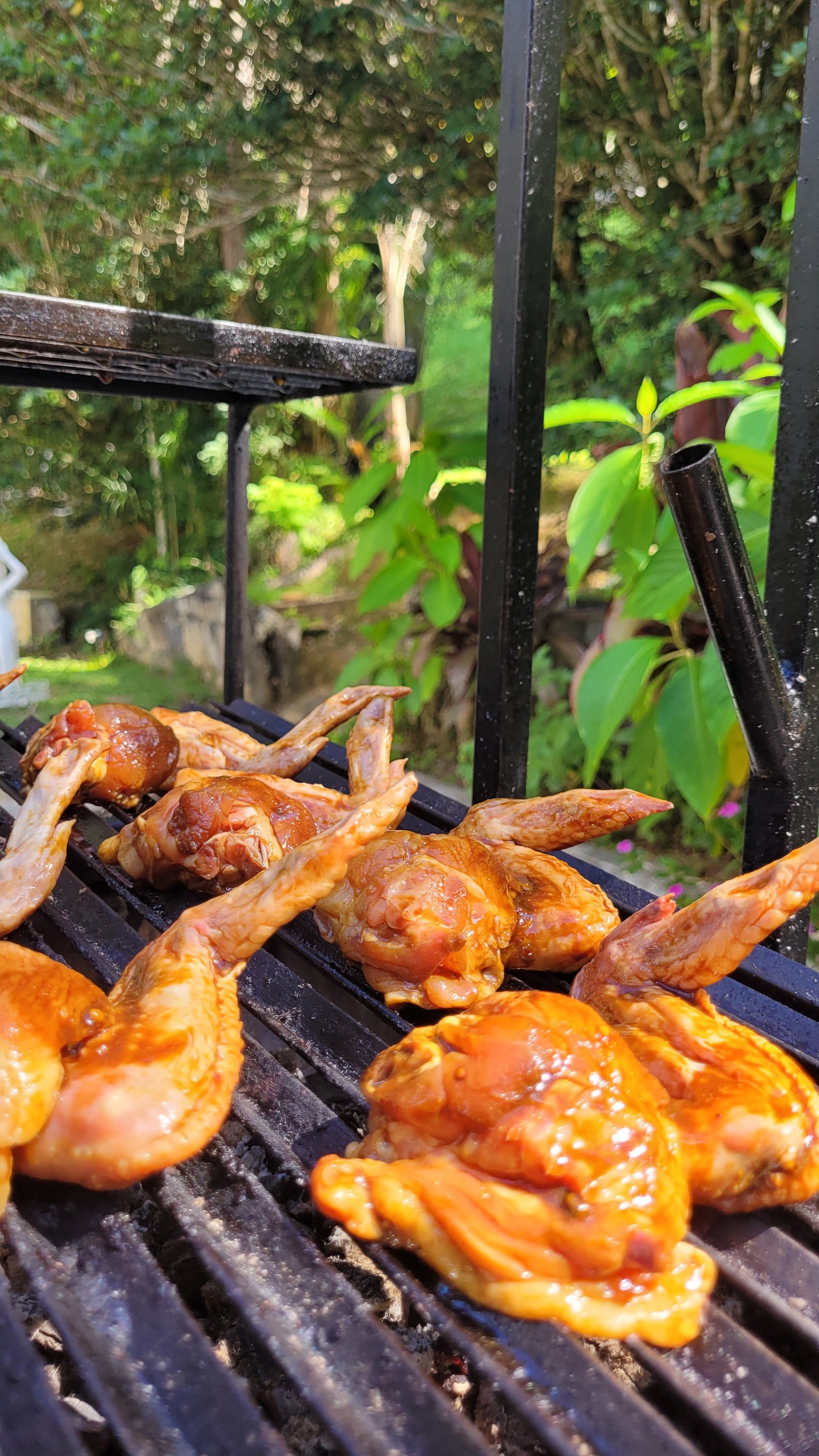 Truques para o churrasco de carnaval ficar na medida certa - imagem 3