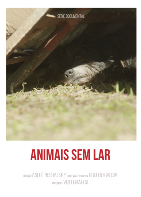 Cineasta André Bushatsky lança minissérie “Animais sem Lar” pelo Prime Box Brasil em abril