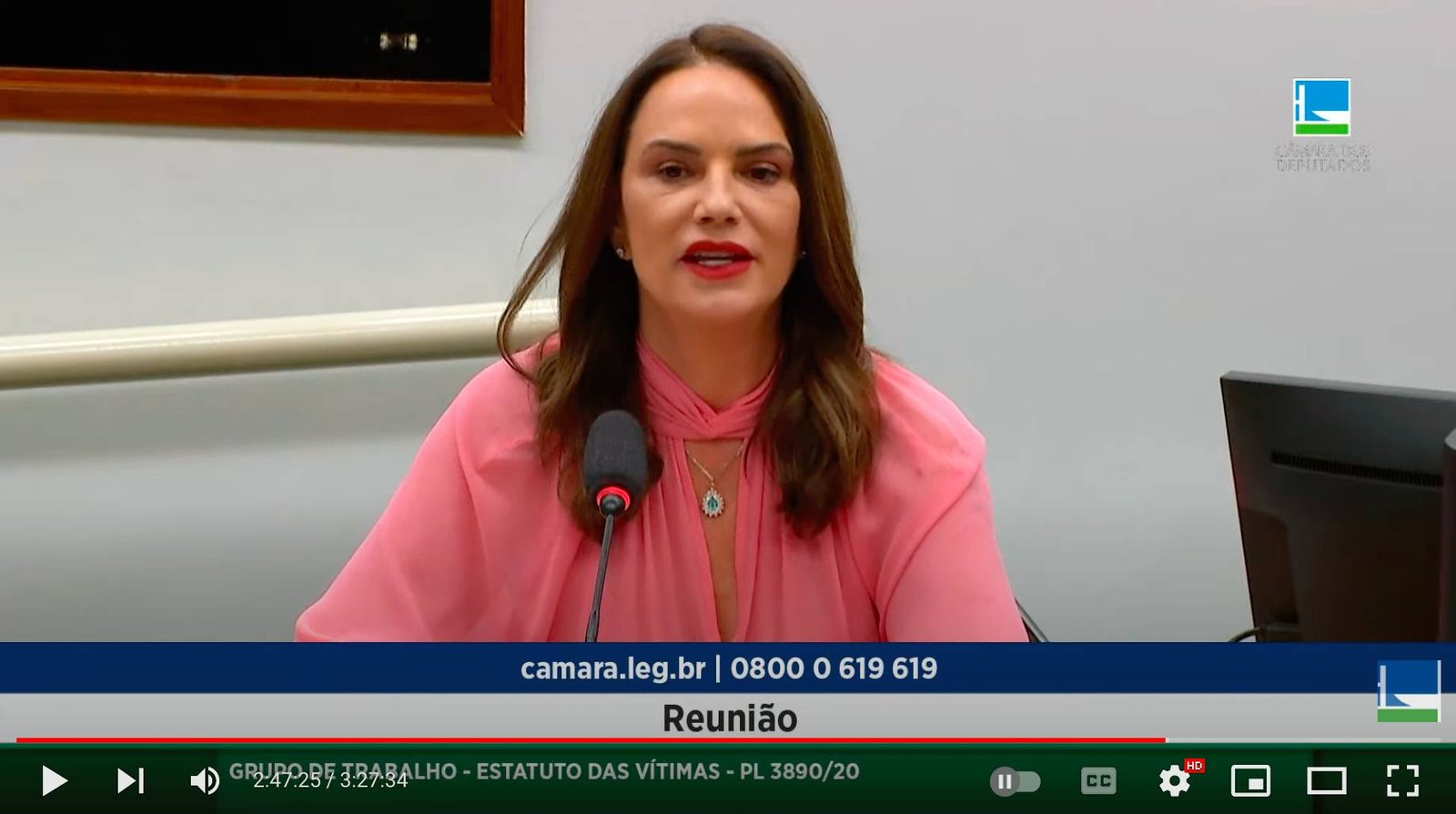 Com depoimento de Luiza Brunet, Câmara discute PL do Estatuto da Vítima - imagem 2