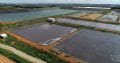 Dia Mundial da Água: cada vez mais preocupadas com a sustentabilidade, empresas buscam gestão eficiente dos